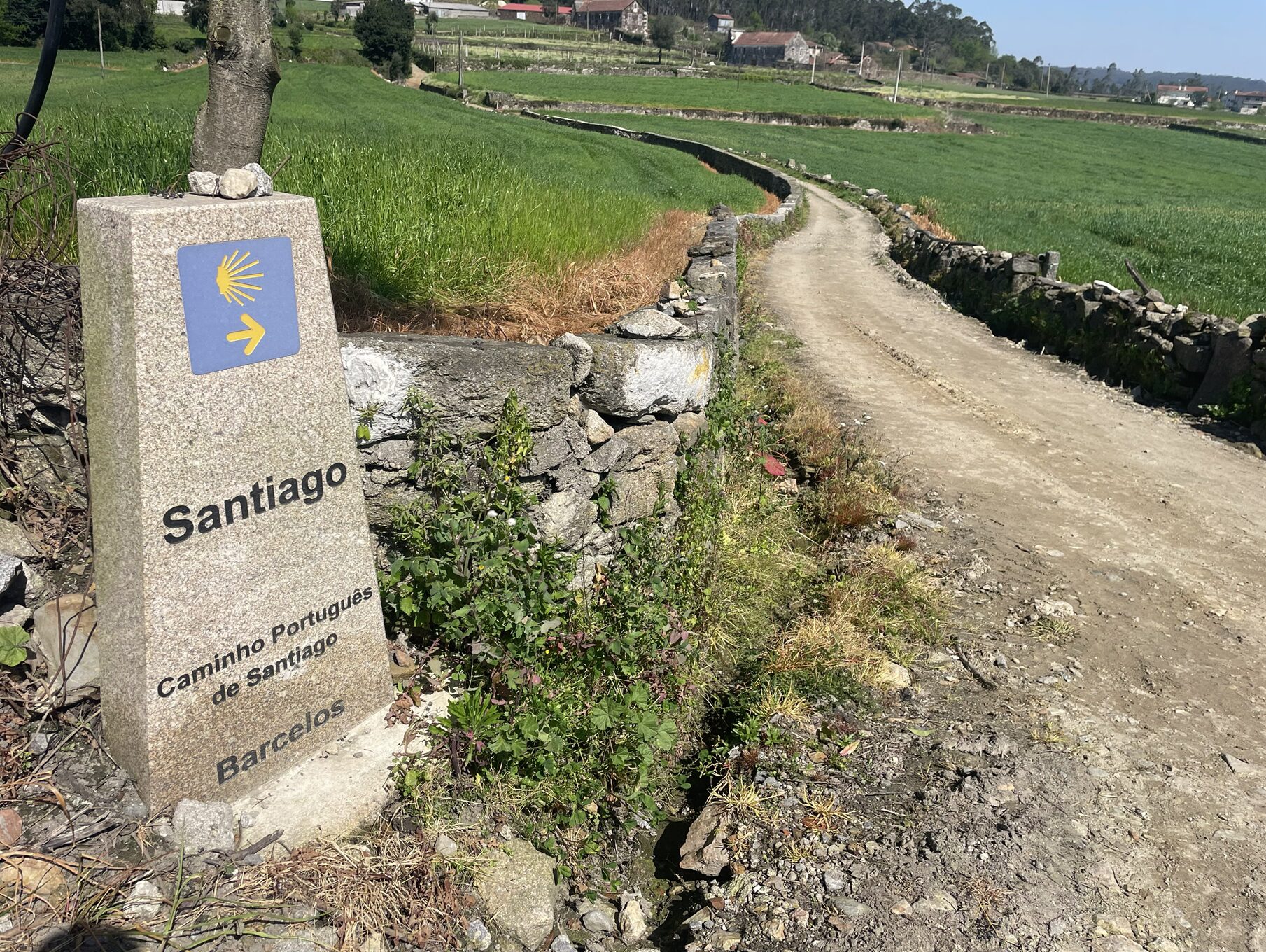 Read more about the article Camino Português – relacja z trasy. Porto, ocean i 116 km pieszo